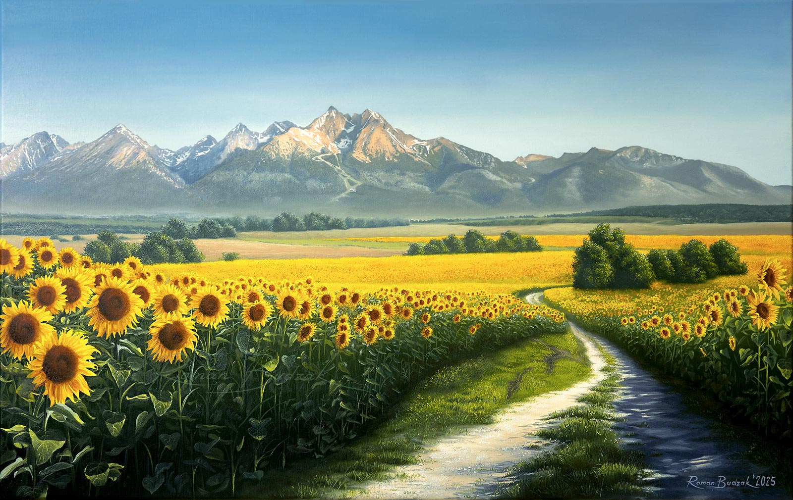 Sunflower Field